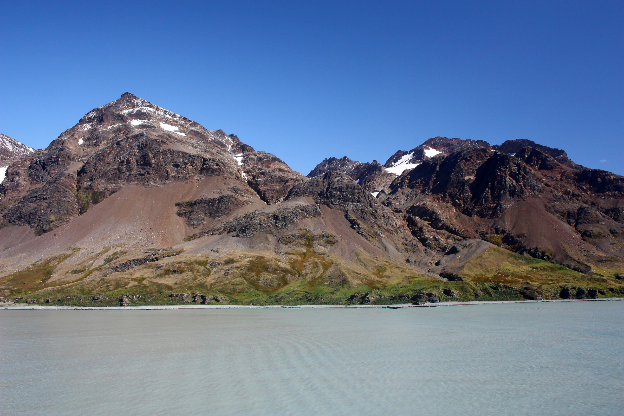 fortuna bay, south georgia (3).webp